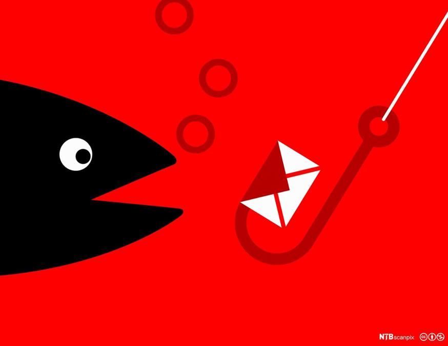 Image for Phishing Scams