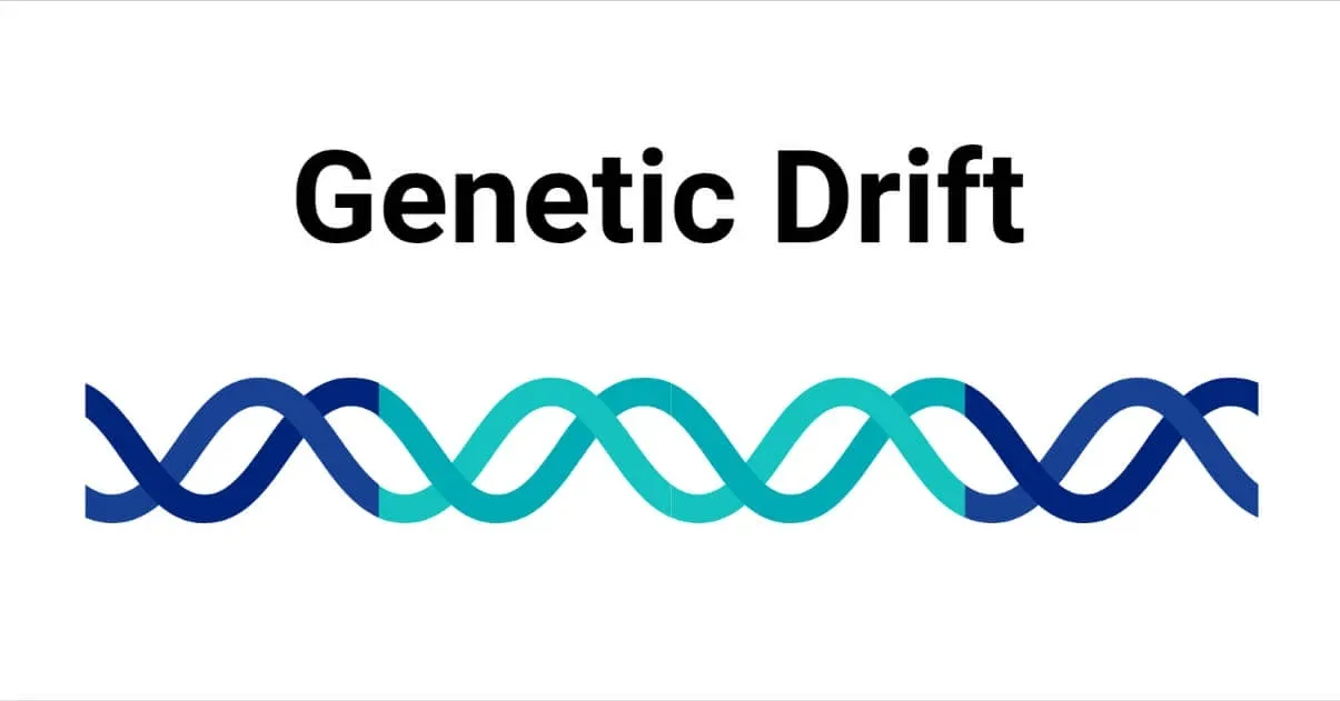 Genetic-Drift