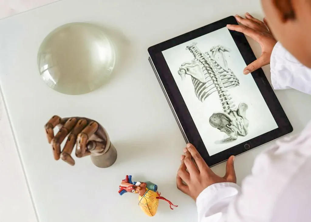 man observing spinal cord skeleton in a tablet